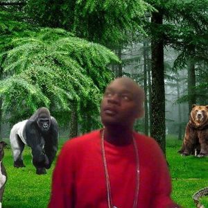 Meet your Posher, Adam